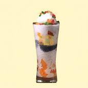 Mix Fruit Avil Falooda