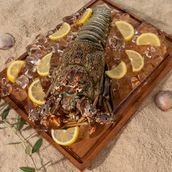 Lobster