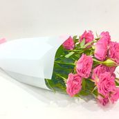 Baby Beauty 23