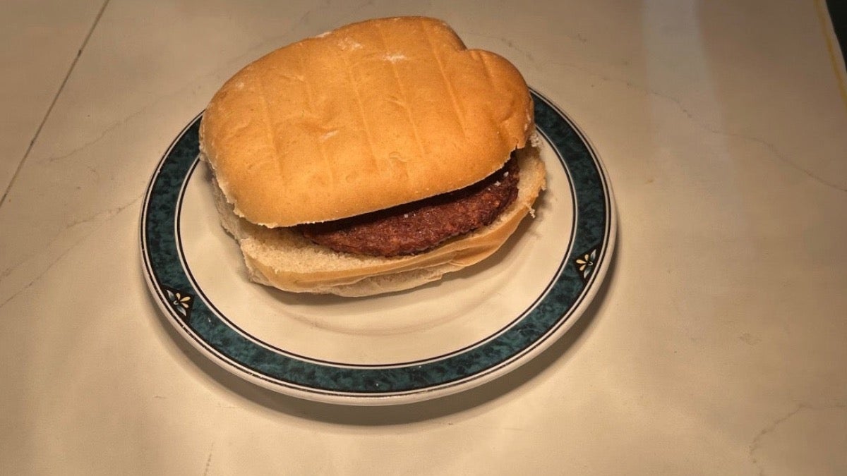 Plain Burger in a Bun