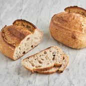 Tartine