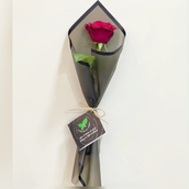 One Red Rose