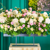 Summer Flower