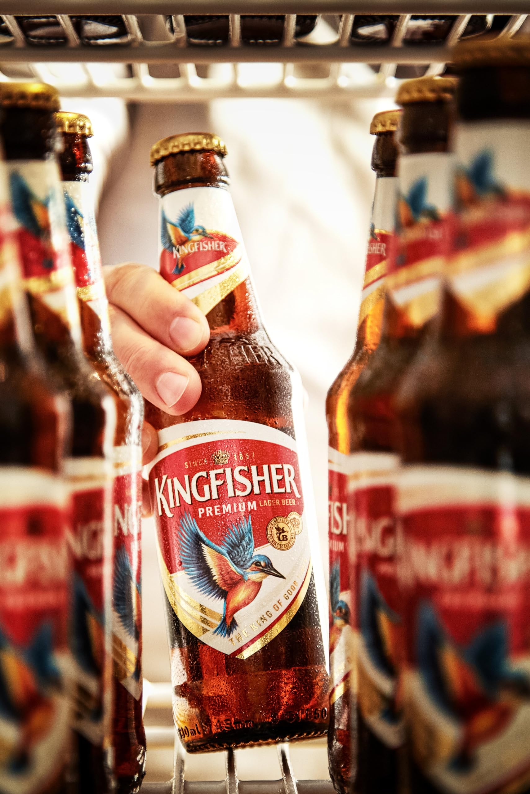 Kingfisher 330ml