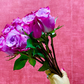 Purple Rose Bunch