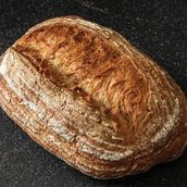 Landkruste 