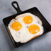 FRIED EGG