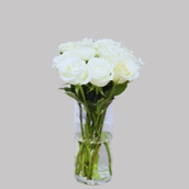 Vase White Roses 5057