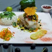 Fish Spogla-فيش سبوغلا