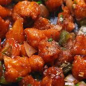  Gobi Chili 