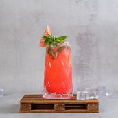 Watermelon Mojito