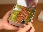Mini Box Basbosa Nutella