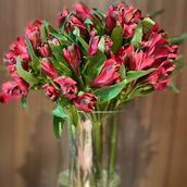 astumiria Vase 20