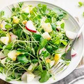 Watercress Salad