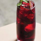Hibiscus