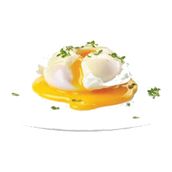 Poached Egg