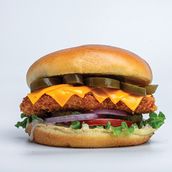 Mexican Chicken Burger