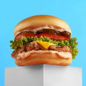 Kanto Classic Burger
