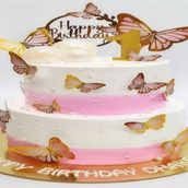 Beautiful Pink Butterfly Cake