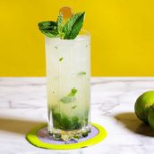 Mojito