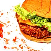 Fireee Chicken Ufo