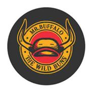 MR BUFFALO
