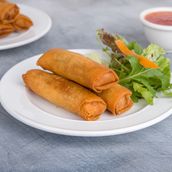 vegetable spring rolls - appetizer