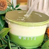 BABY VANILLA MATCHA