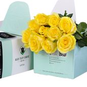Mary - Green Box