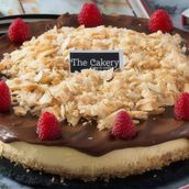 Crunchy Nutella Cheesecake