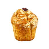 Blueberry Muffin