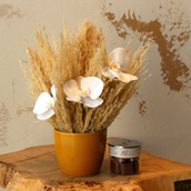 Pampas Dry With Chocolates