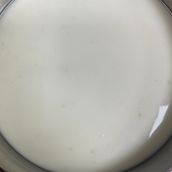Garlic Sauce