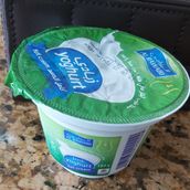 Small Yogurt
