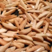 Almond