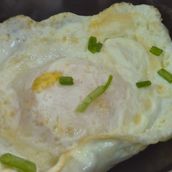 Egg