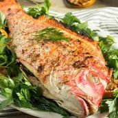 Supreme Fish