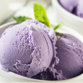 Gelato Ice Cream