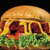 Spicy Burger