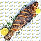 Turkish seabass