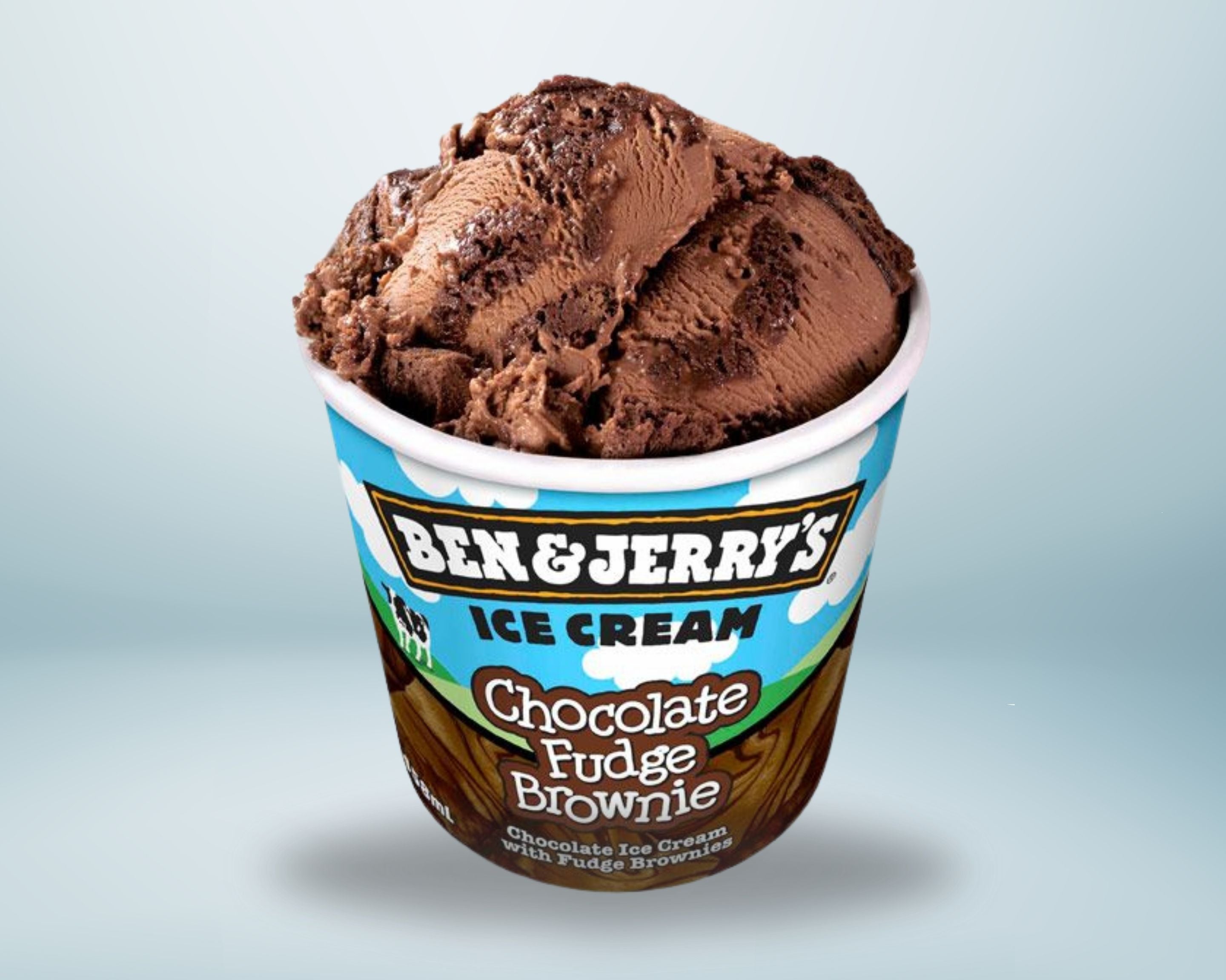 Ben & Jerry's Fudge Brownie