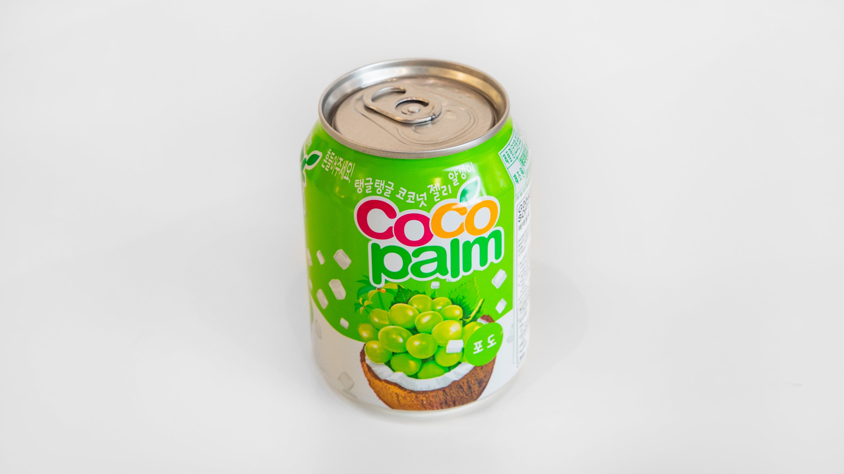 Coco Palm
