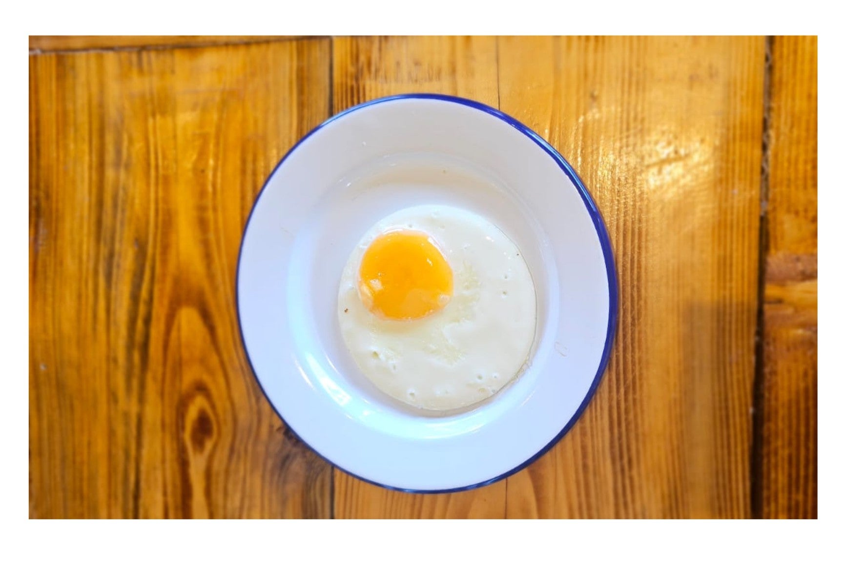 Fried Egg