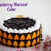 Blueberry Harvest Cake