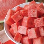 Watermelon Bricks