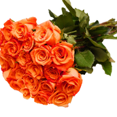 Orange Roses Bunch