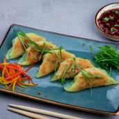 Vegetable Gyoza