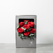 Red Grey Box