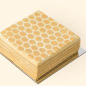 Hive Honey Cake 500 Gm