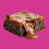 Fudge Chocolate Brownie
